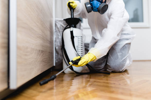 Best Best Pest Control Companies  in Bonnie Brae, IL