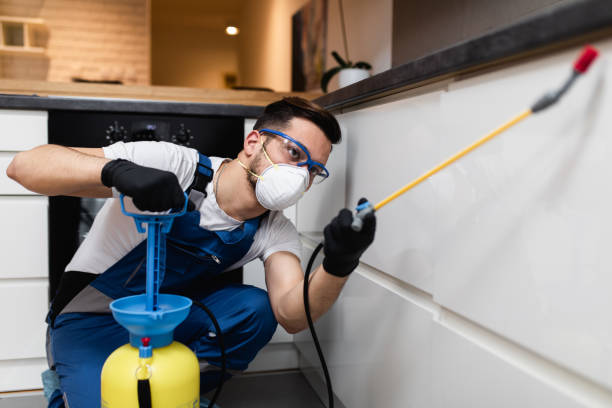 Best Exterminator Services  in Bonnie Brae, IL