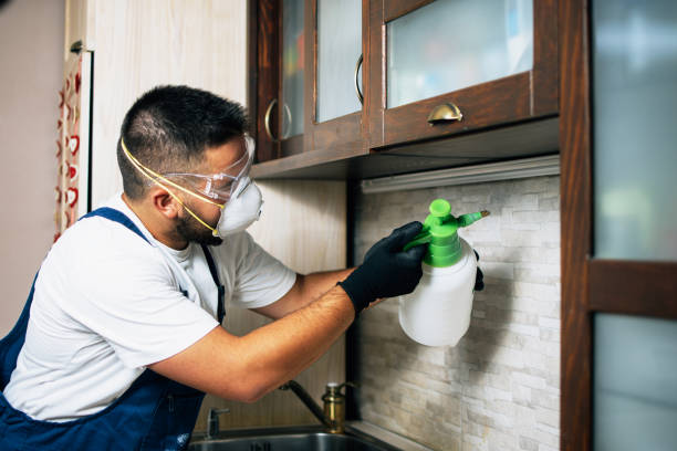 Best Local Pest Control Services  in Bonnie Brae, IL