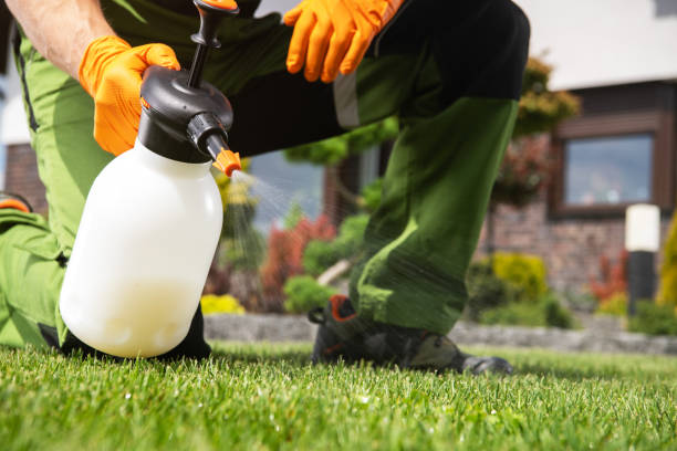 Best Mosquito Control Services  in Bonnie Brae, IL