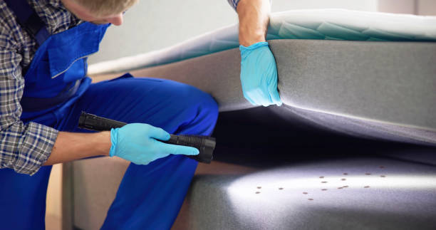 Best Affordable Pest Control Services  in Bonnie Brae, IL