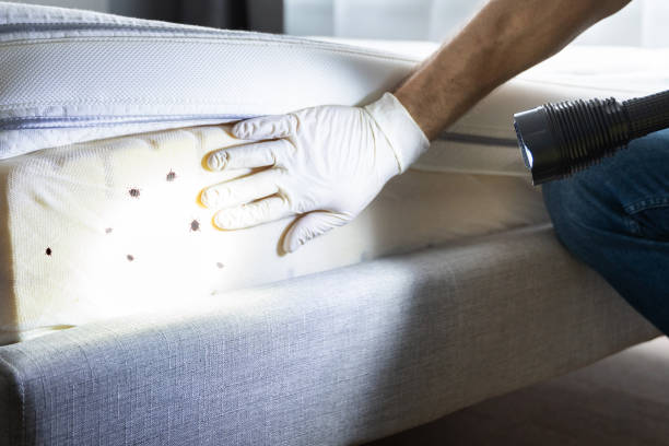 Best Cockroach Control Services  in Bonnie Brae, IL
