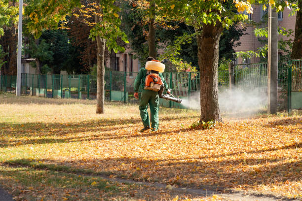 Best Pest Control Near Me  in Bonnie Brae, IL