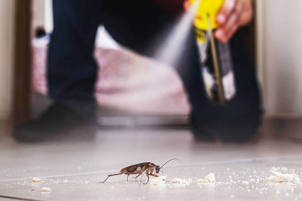 Professional Pest Control in Bonnie Brae, IL