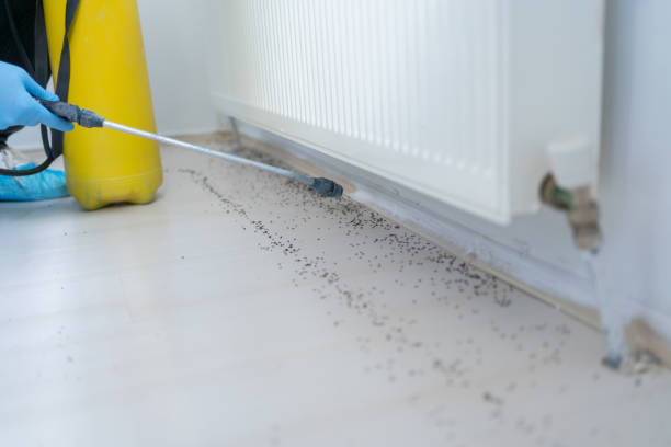 Best Residential Pest Control  in Bonnie Brae, IL