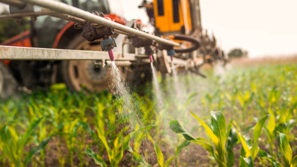 Best Commercial Pest Control Services  in Bonnie Brae, IL